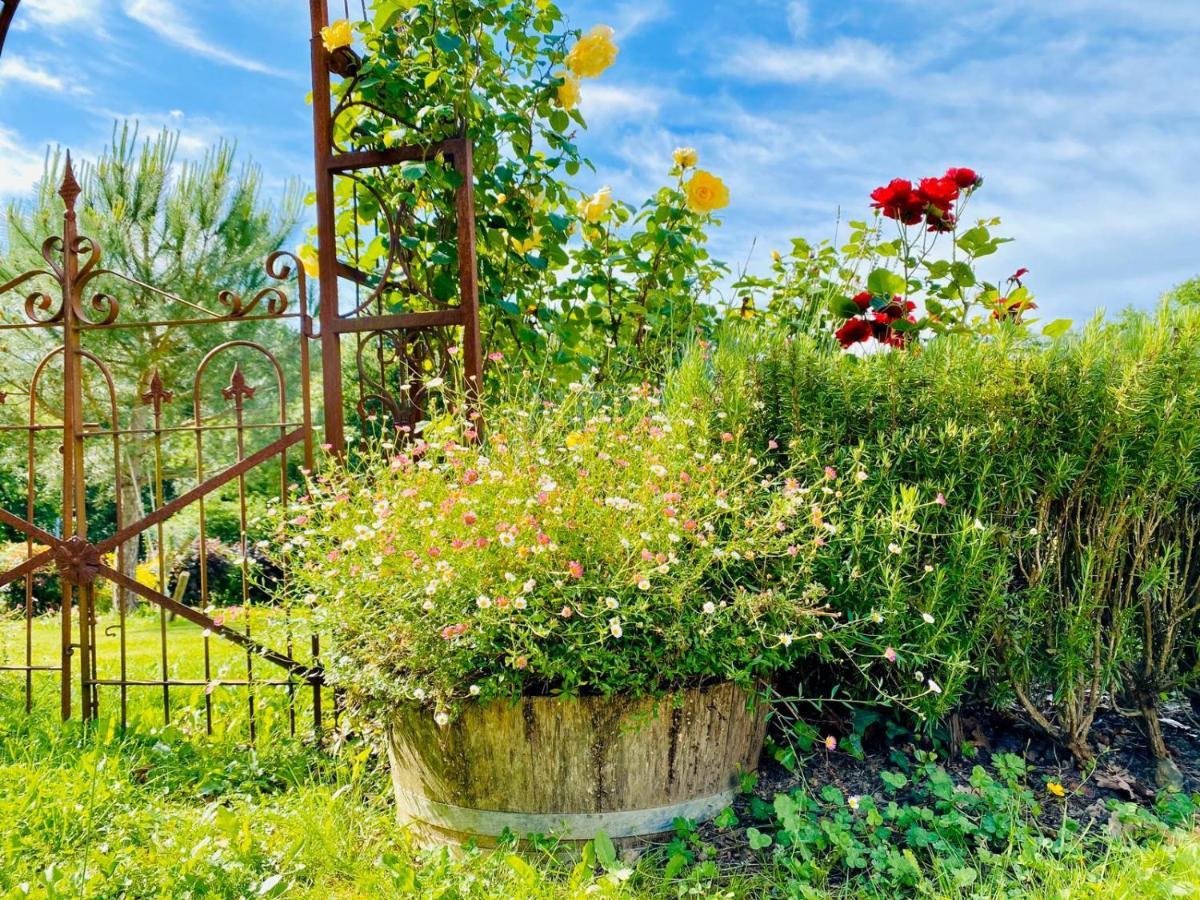 le gite du CASTELBOSC Hagedet Extérieur photo